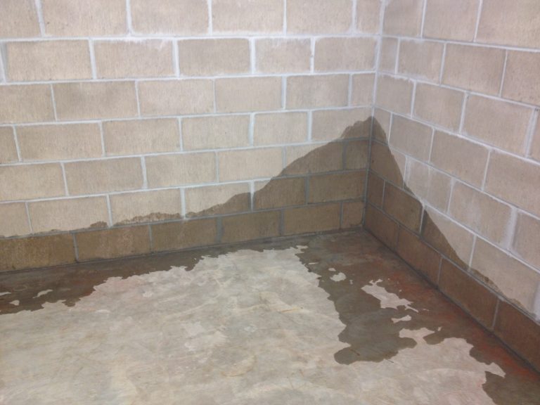 Wet basement corner